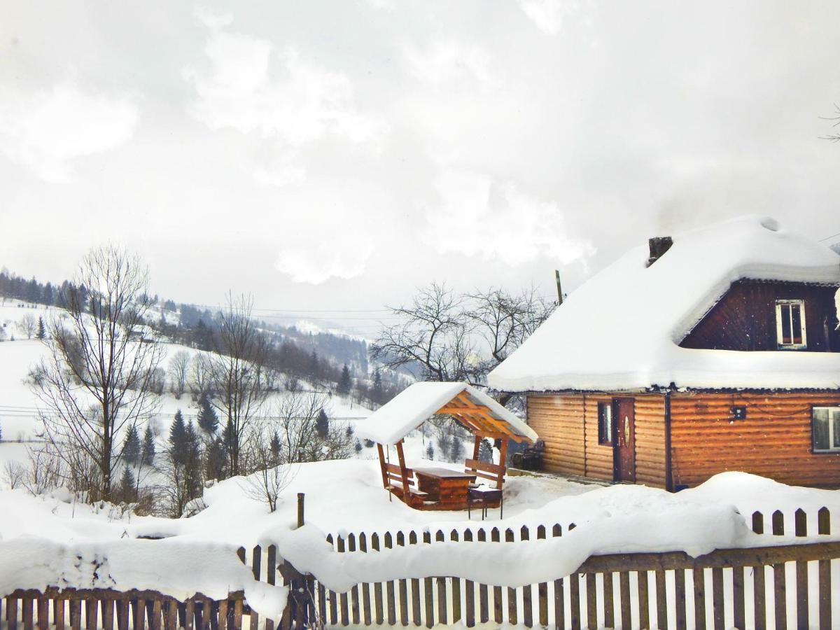 Cottage Svitanok Lopushnoye Exterior photo