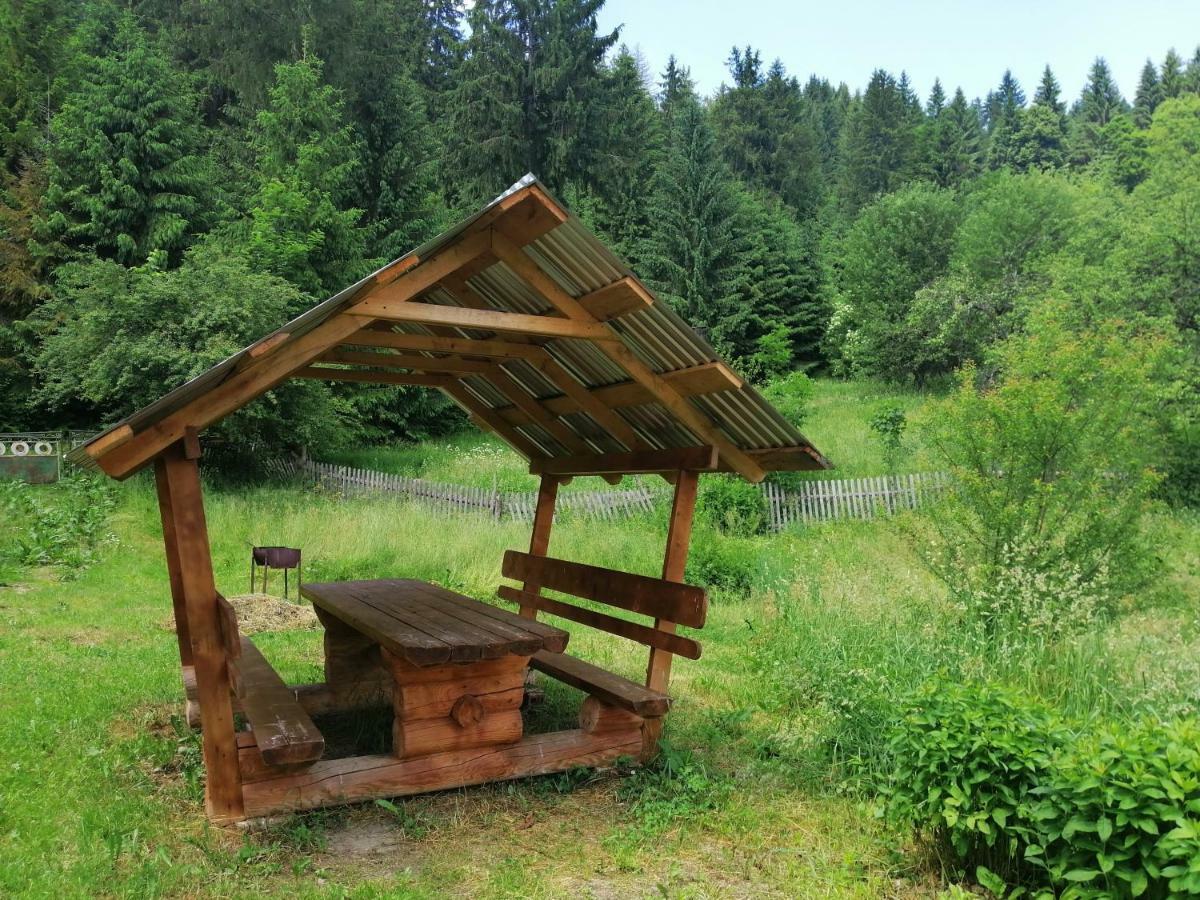 Cottage Svitanok Lopushnoye Exterior photo